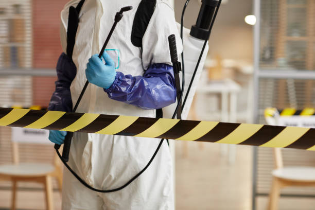 Professional Sewage Cleanup technician working in Bloomfield, NJ
